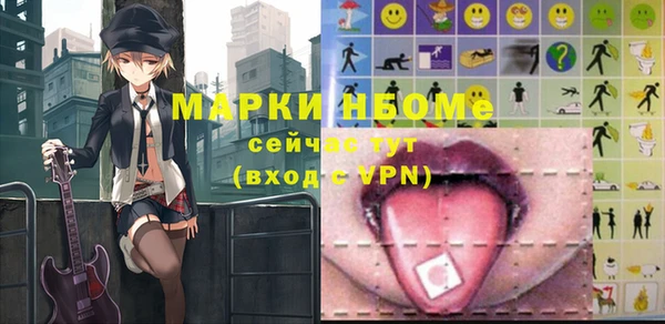 mdpv Краснослободск