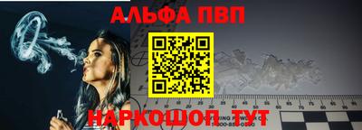 гашик Моздок