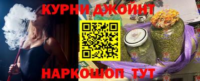 гашик Моздок