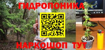 ПСИЛОЦИБИНОВЫЕ ГРИБЫ Можайск