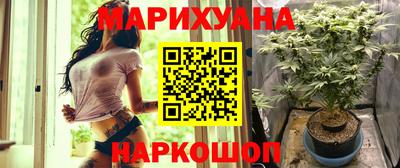 гашик Моздок