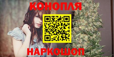 гашик Моздок