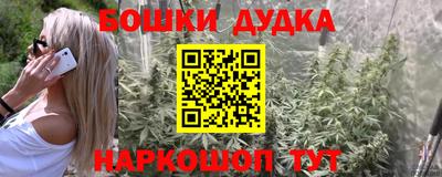 гашик Моздок