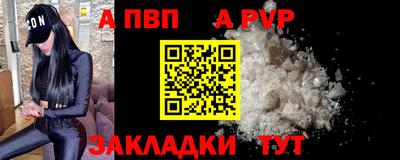 гашик Моздок