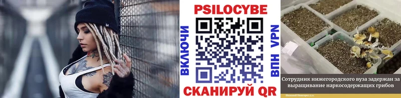 Галлюциногенные грибы мицелий Соль-Илецк