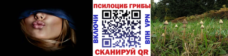 что такое наркотик  Соль-Илецк  нарко площадка состав  Галлюциногенные грибы MAGIC MUSHROOMS 