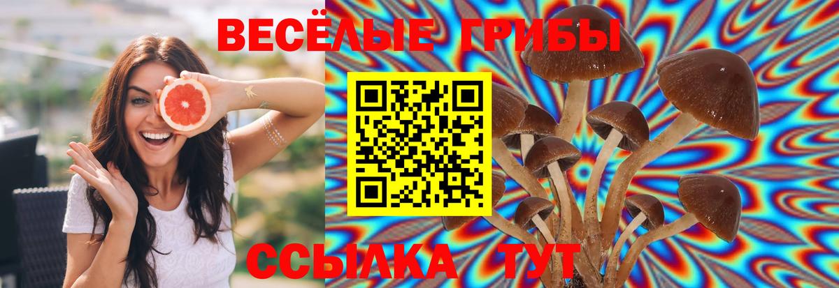 где купить наркотик  Псилоцибиновые грибы мицелий  Вход с VPN  Галлюциногенные грибы прущие грибы  Соль-Илецк 